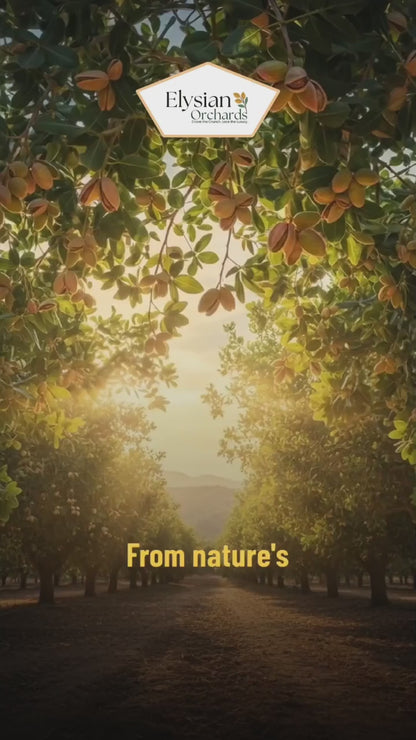 Pistachios Salted with Shell – Mindful Crunch, Natural Vitality